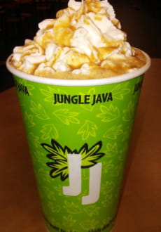 jungle java coupon